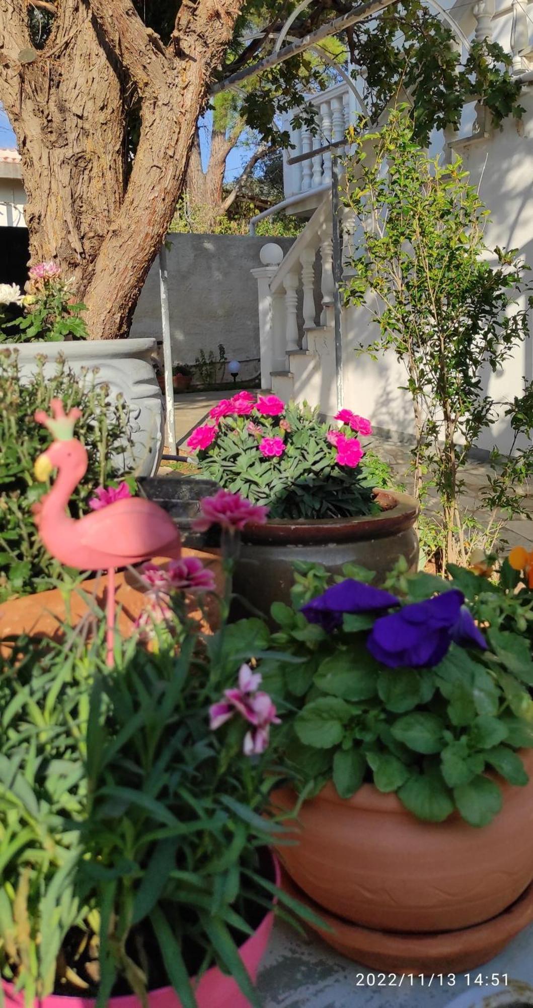 Secret Garden Home Lagonissi Attiki Melissourgoú Zewnętrze zdjęcie